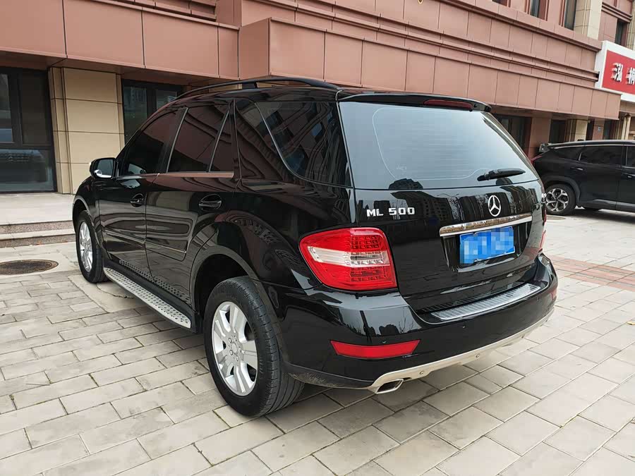 Mercedes-Benz M-Class 2010