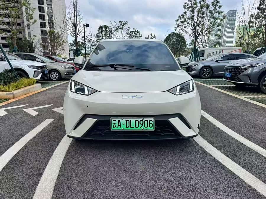 BYD Seagull 2024