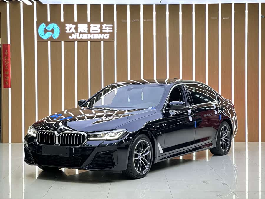 BMW 5 Series New Energy 2021