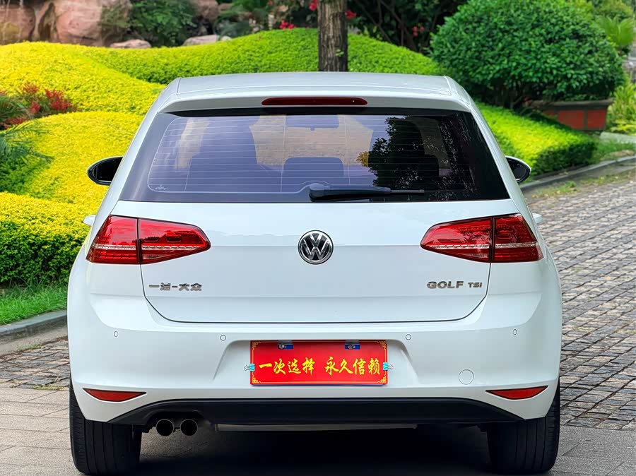 Volkswagen Golf 2015 — фото 19