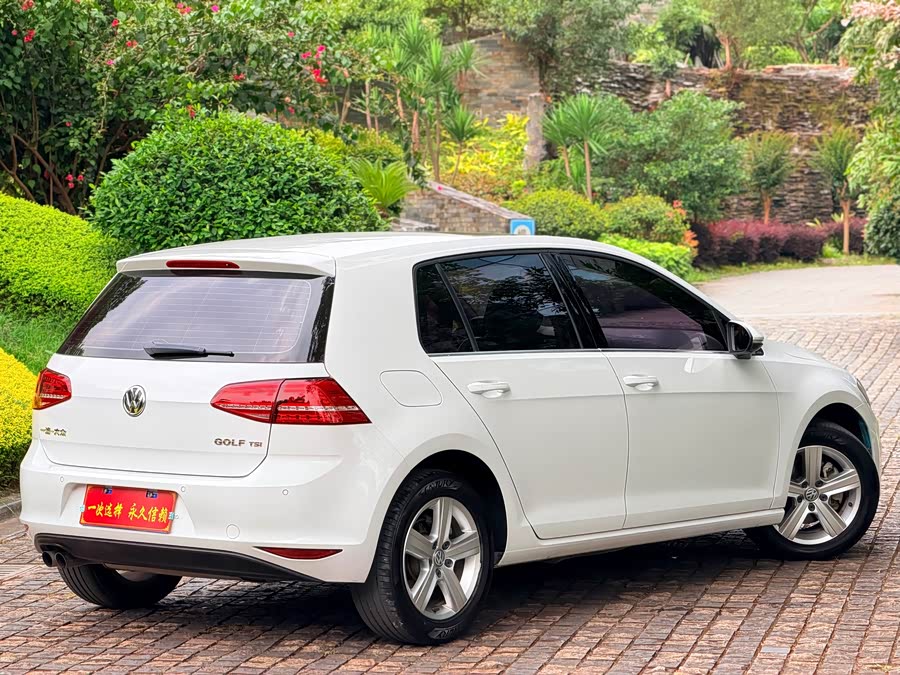 Volkswagen Golf 2015 — фото 18