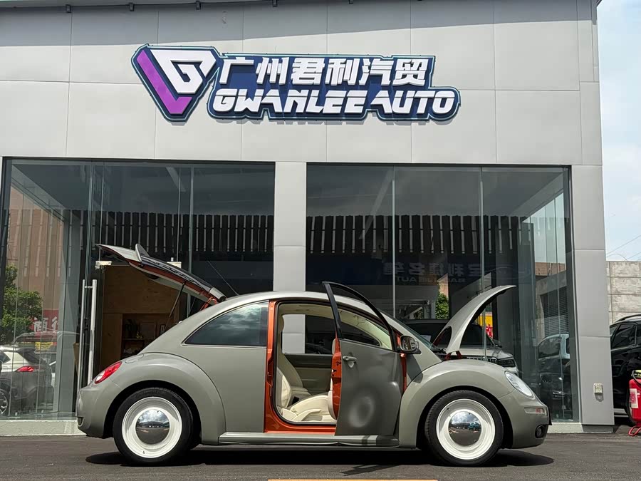 Volkswagen Beetle 2010