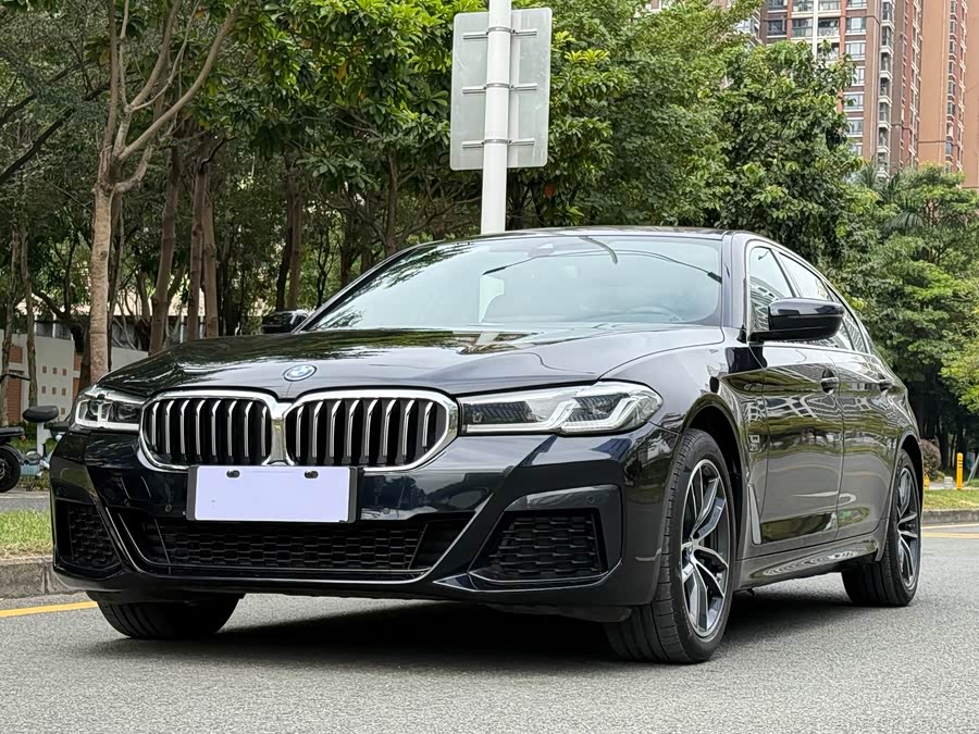 BMW 5 Series New Energy 2022