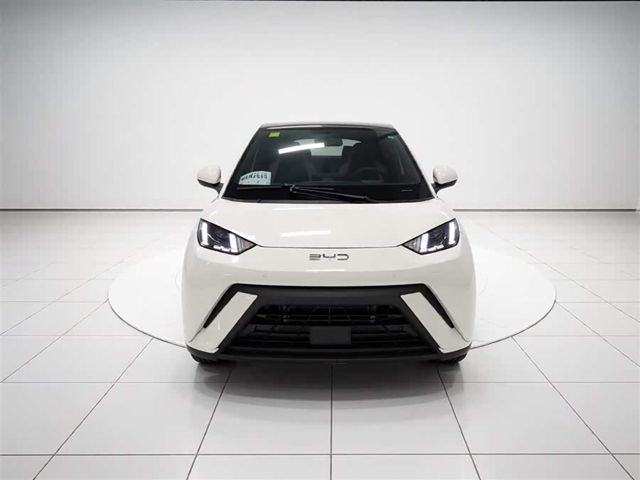 BYD Seagull 2025