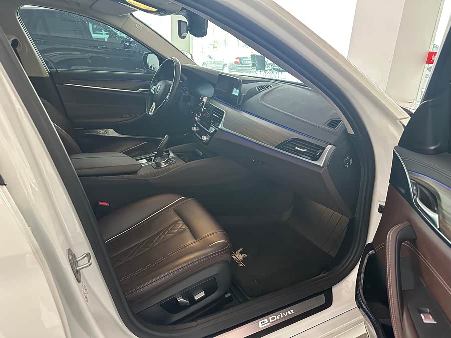 BMW 5 Series New Energy 2019