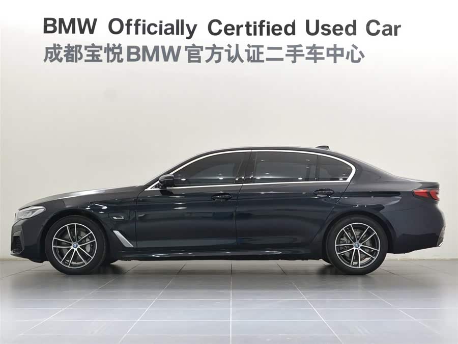 BMW 5 Series New Energy 2022