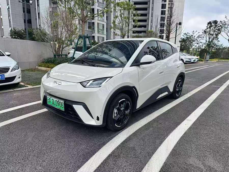 BYD Seagull 2024