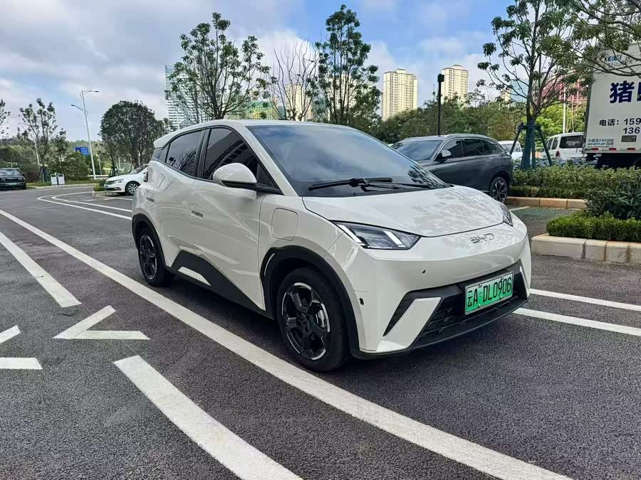 BYD Seagull 2024