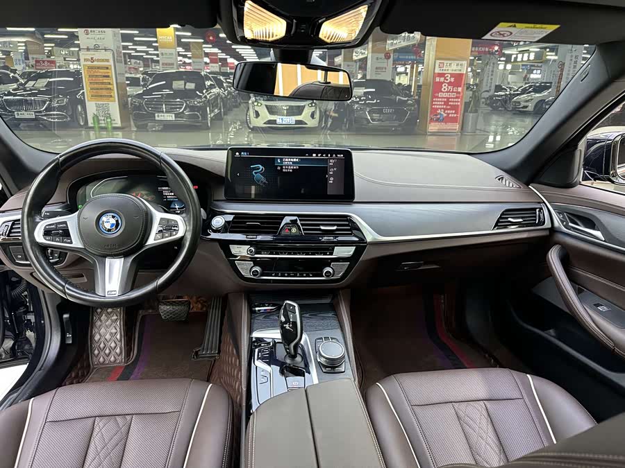BMW 5 Series New Energy 2021