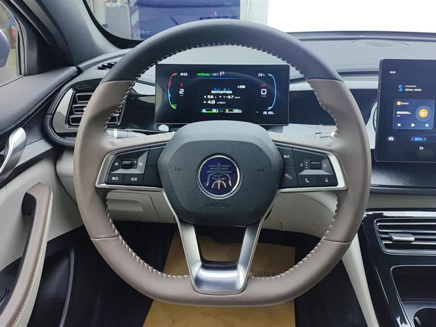 BYD Qin PLUS 2024 — фото 15