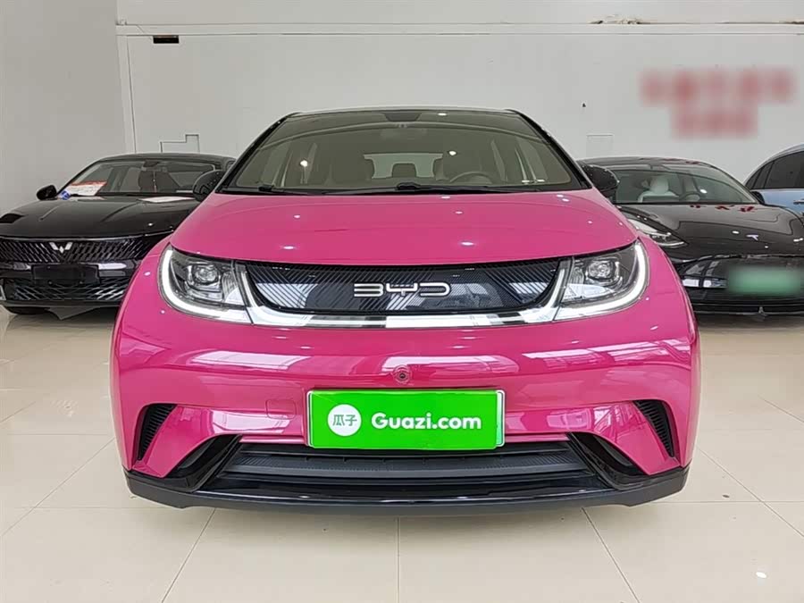 BYD Dolphin 2023