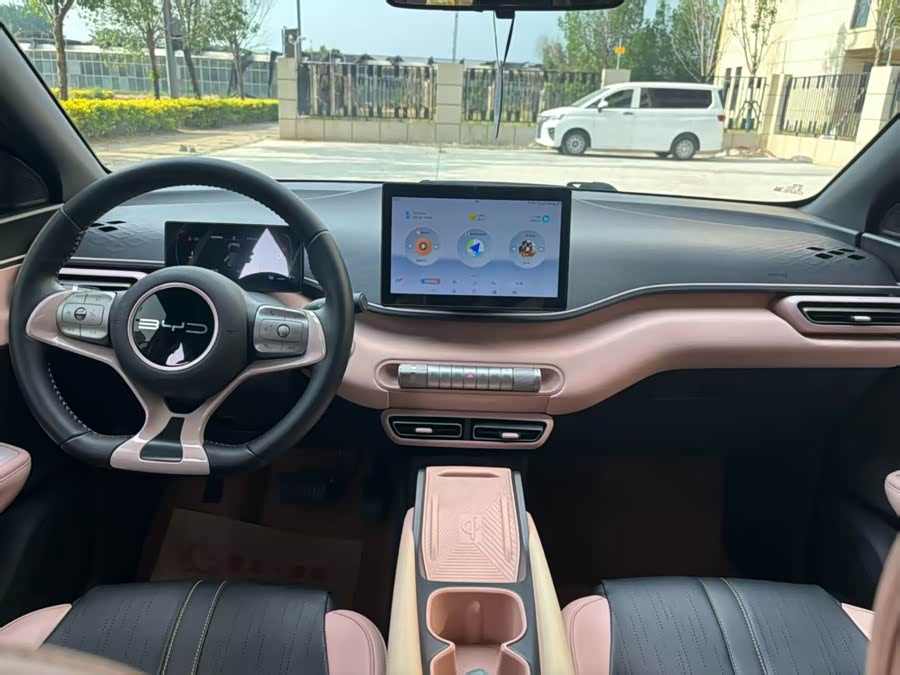BYD Seagull 2024