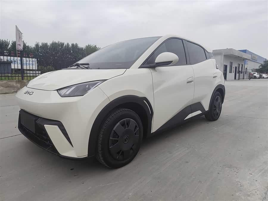 BYD Seagull 2024