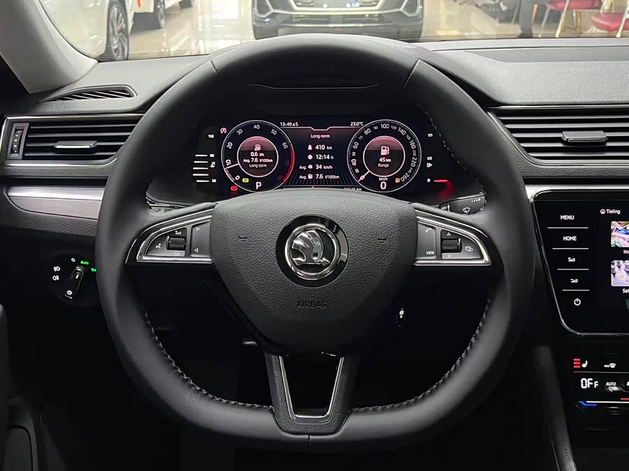 Skoda Speedy 2024 — фото 11