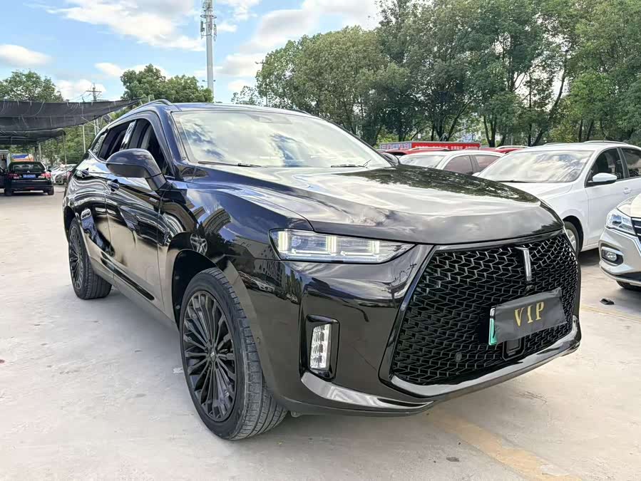 Wey P8 2018