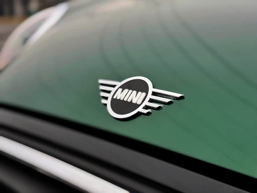 MINI MINI 2022