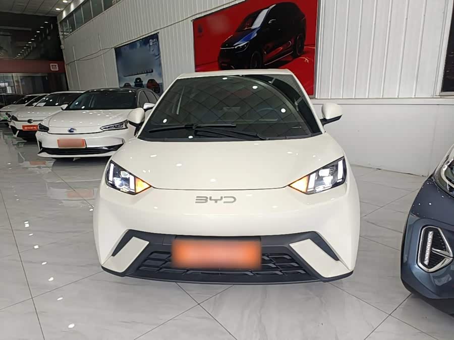BYD Seagull 2024