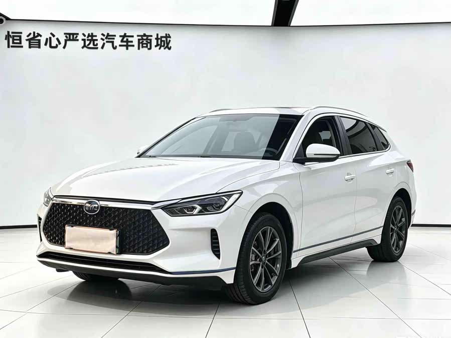 BYD e2 2021