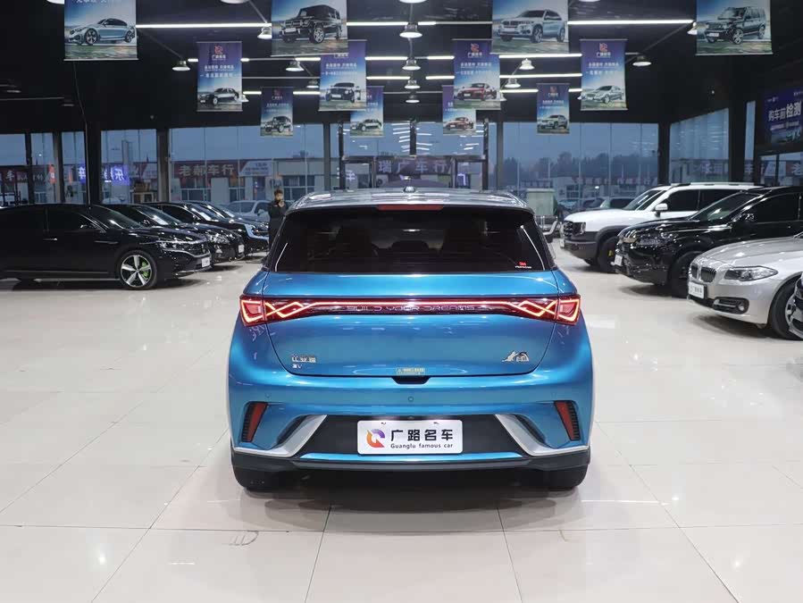 BYD Dolphin 2023