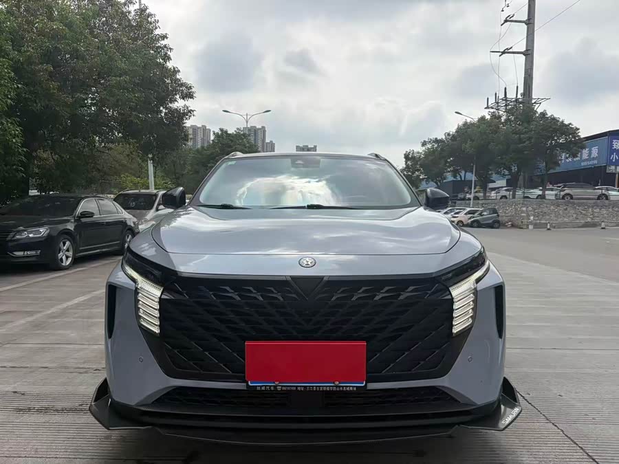 Venucia Big V 2021