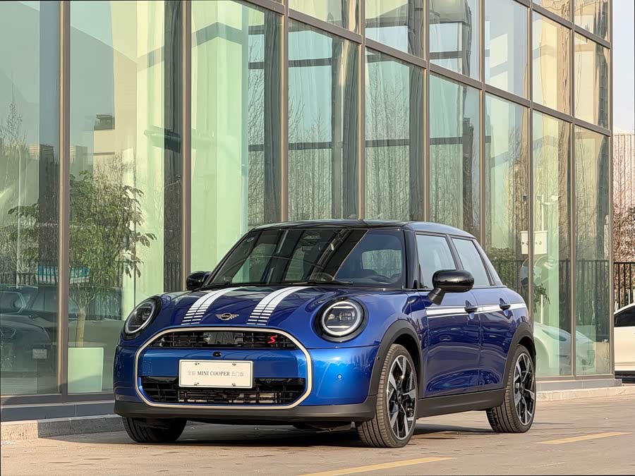 MINI MINI 2025