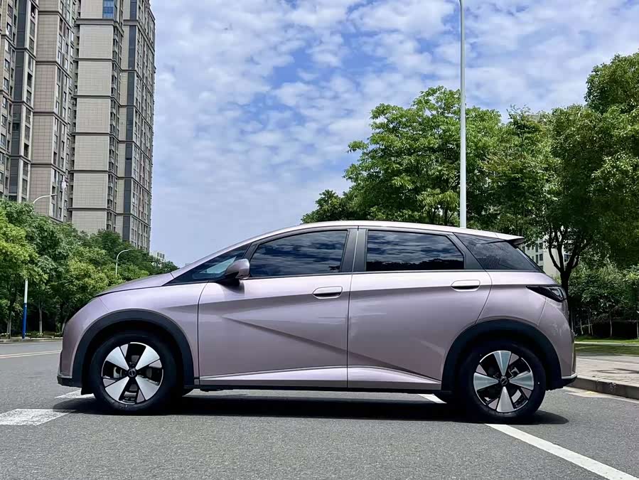 BYD Dolphin 2023