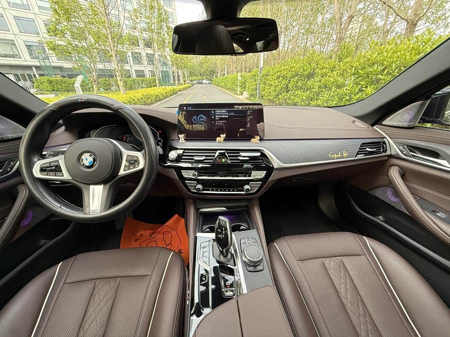 BMW 5 Series New Energy 2021