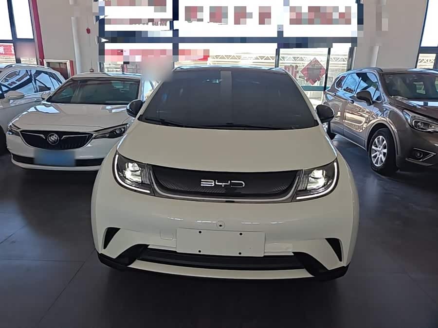 BYD Dolphin 2023