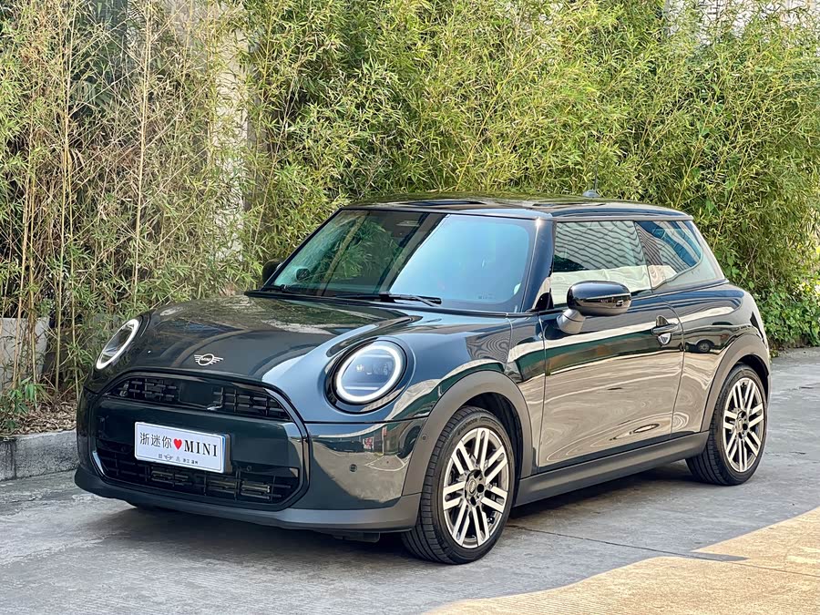 MINI MINI 2025