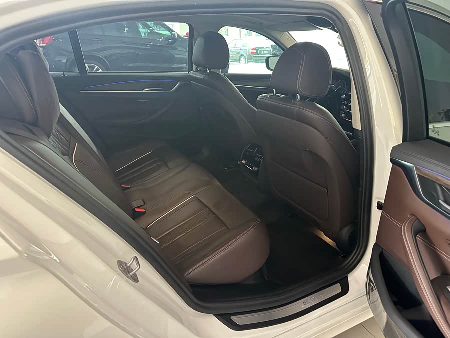 BMW 5 Series New Energy 2019