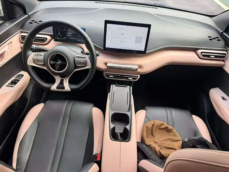 BYD Seagull 2024