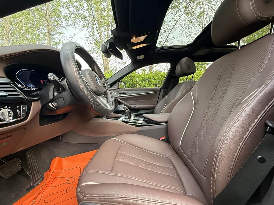 BMW 5 Series New Energy 2021