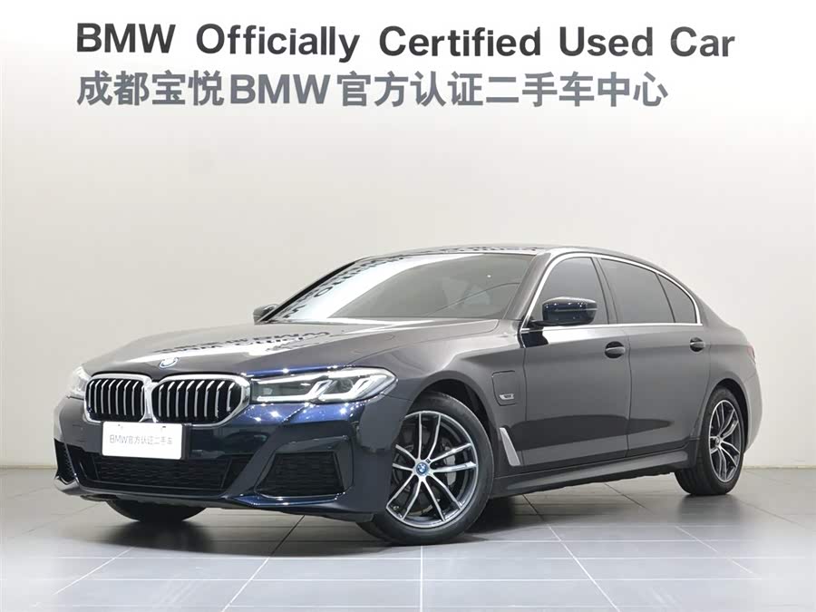 BMW 5 Series New Energy 2022