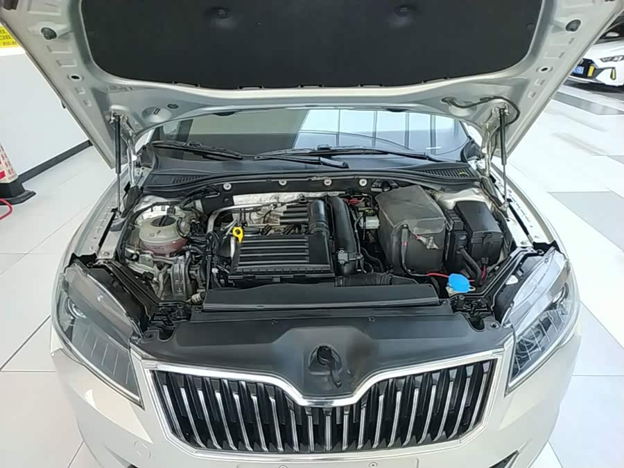 Skoda Speedy 2018 — фото 20