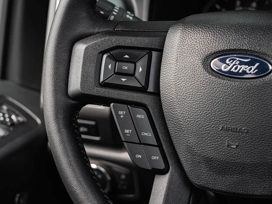 Ford F-150 Raptor 2019 — фото 13