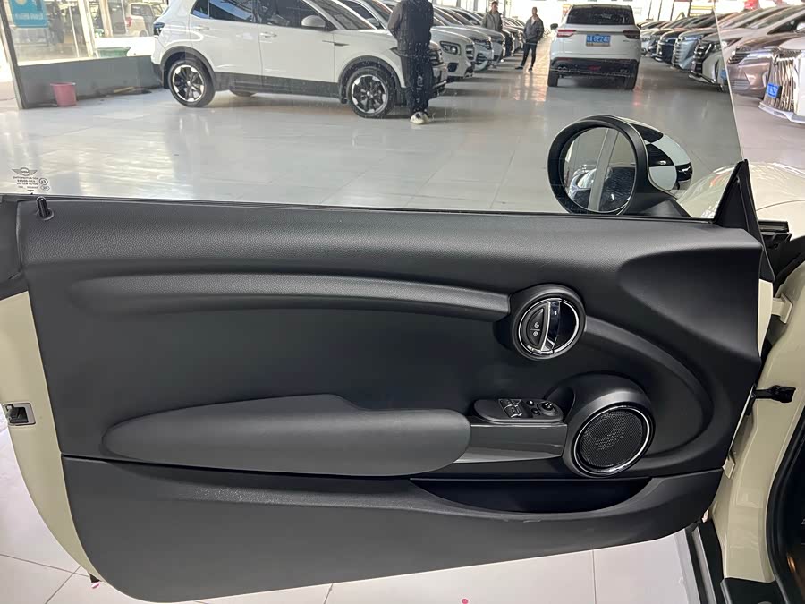 MINI MINI 2018