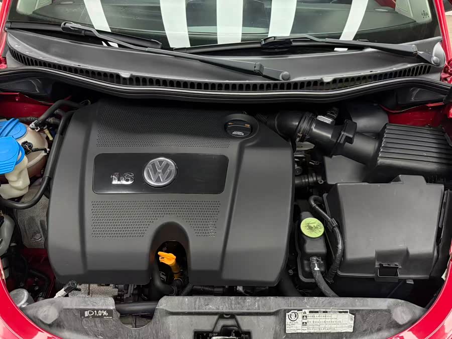 Volkswagen Beetle 2010