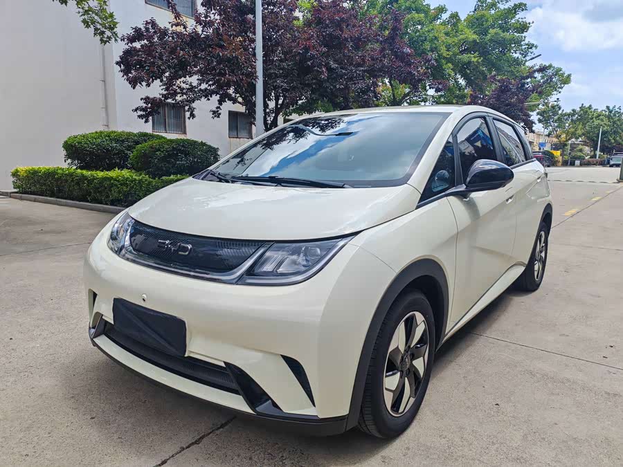 BYD Dolphin 2025