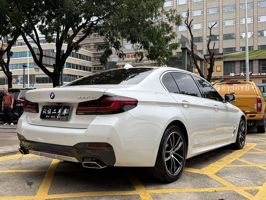 BMW 5 Series New Energy 2022