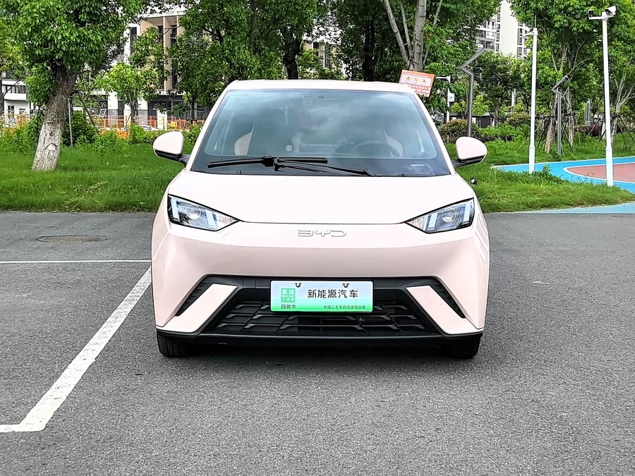 BYD Seagull 2024