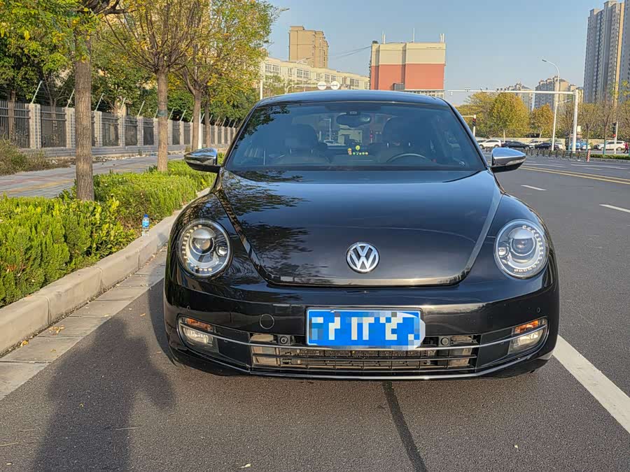 Volkswagen Beetle 2013