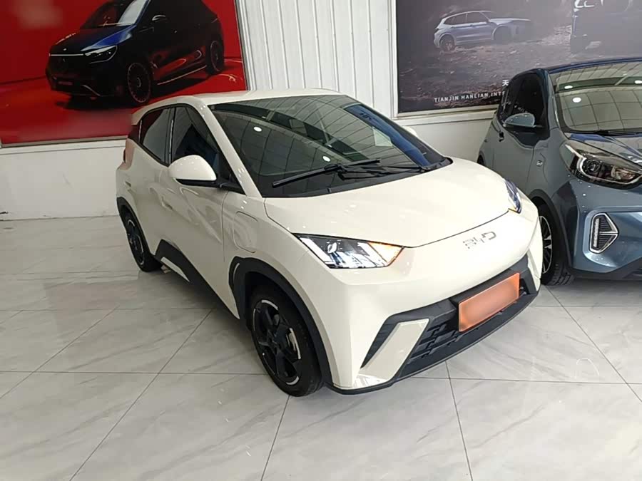 BYD Seagull 2024