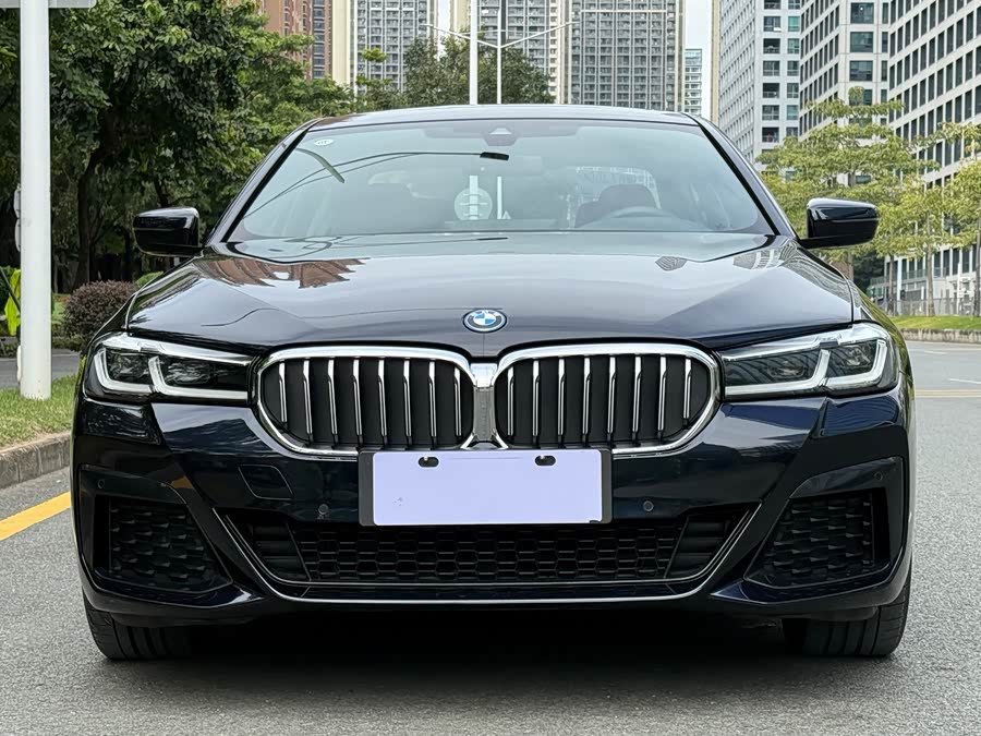 BMW 5 Series New Energy 2022