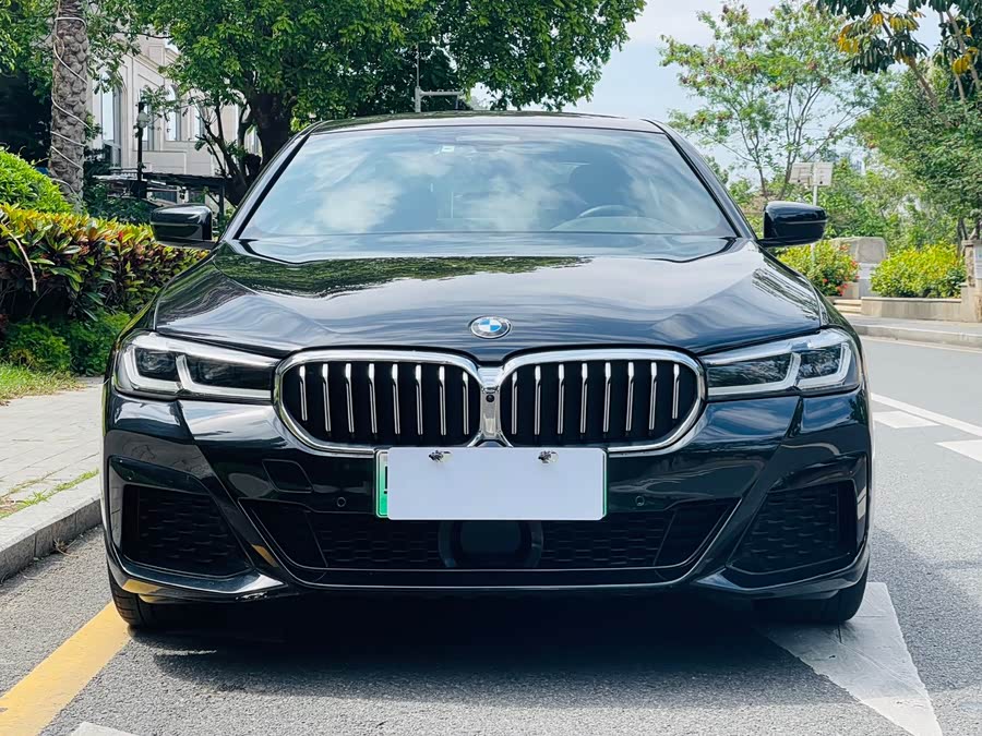 BMW 5 Series New Energy 2021