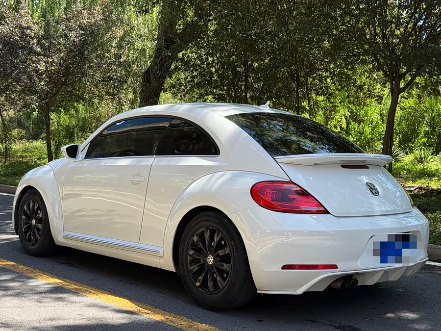 Volkswagen Beetle 2014