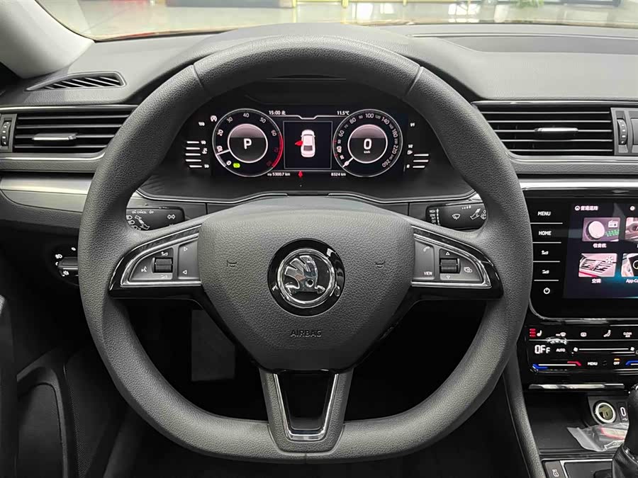 Skoda Speedy 2024