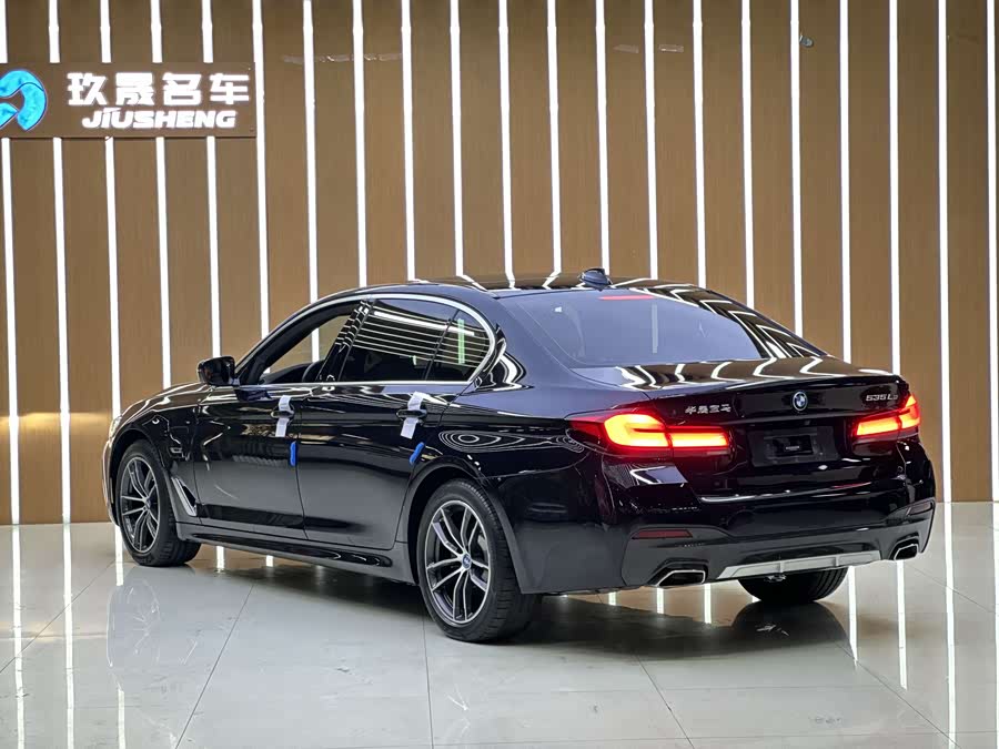 BMW 5 Series New Energy 2021