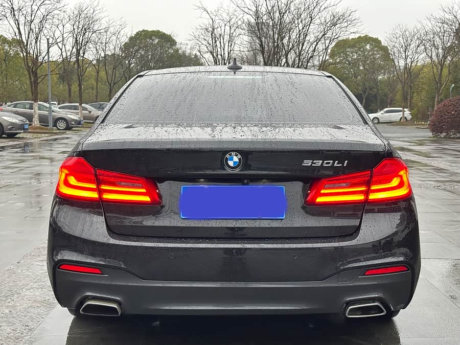 BMW 5 Series 2019
