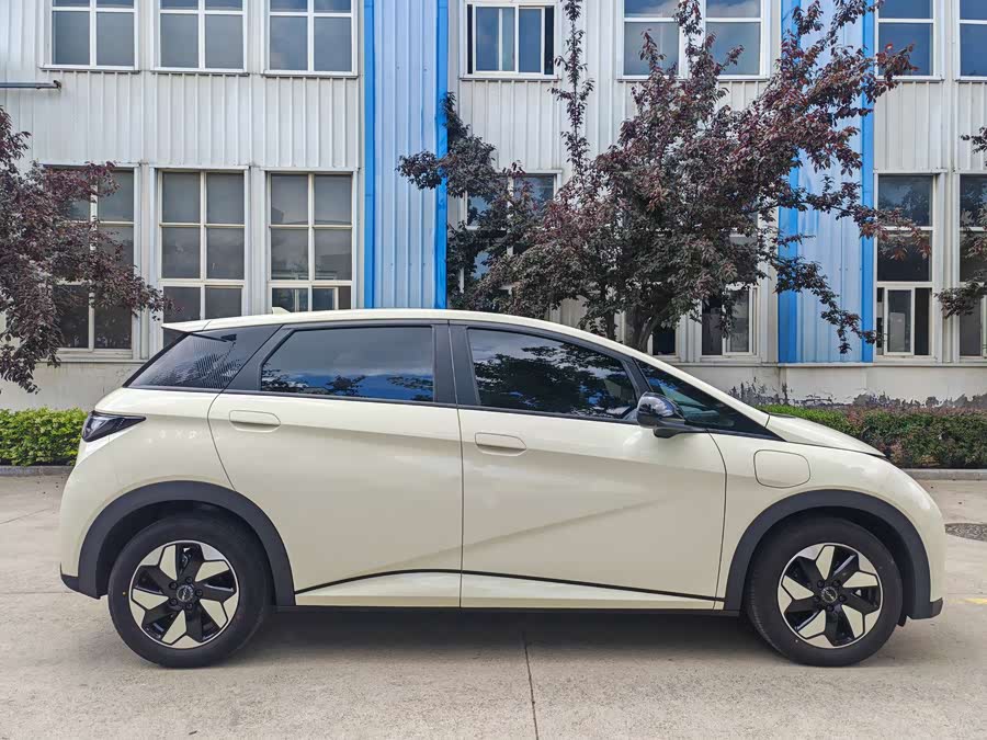 BYD Dolphin 2025