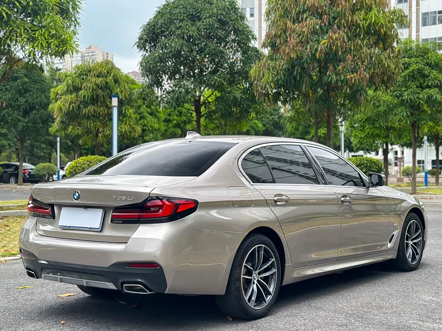 BMW 5 Series 2021